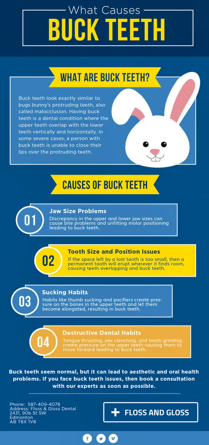 Infographic- What Causes Buck Teeth? - Dentist Edmonton - Floss & Gloss Dental